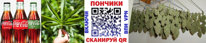 Canna-Cookies конопля  Купить закладки  Нытва 