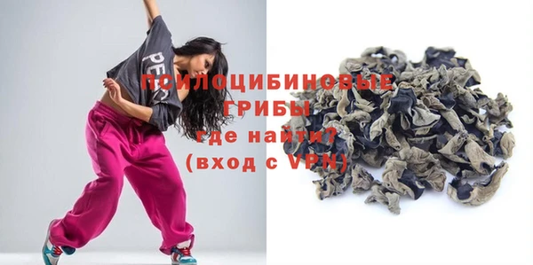 PSILOCYBIN Киреевск