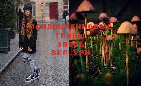 марки lsd Кинешма