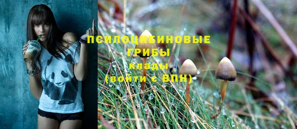 марки lsd Кинешма