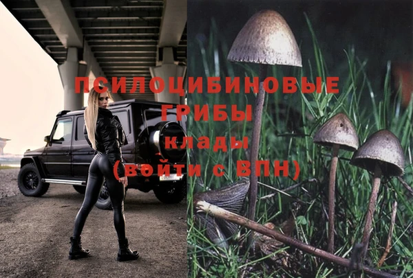 марки lsd Кинешма